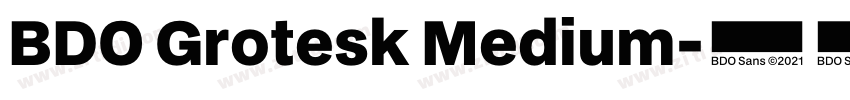 BDO Grotesk Medium字体转换